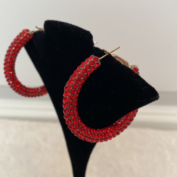 🆕Ruby Gem Hinge Clasp Hoops- NIP - Picture 2 of 3